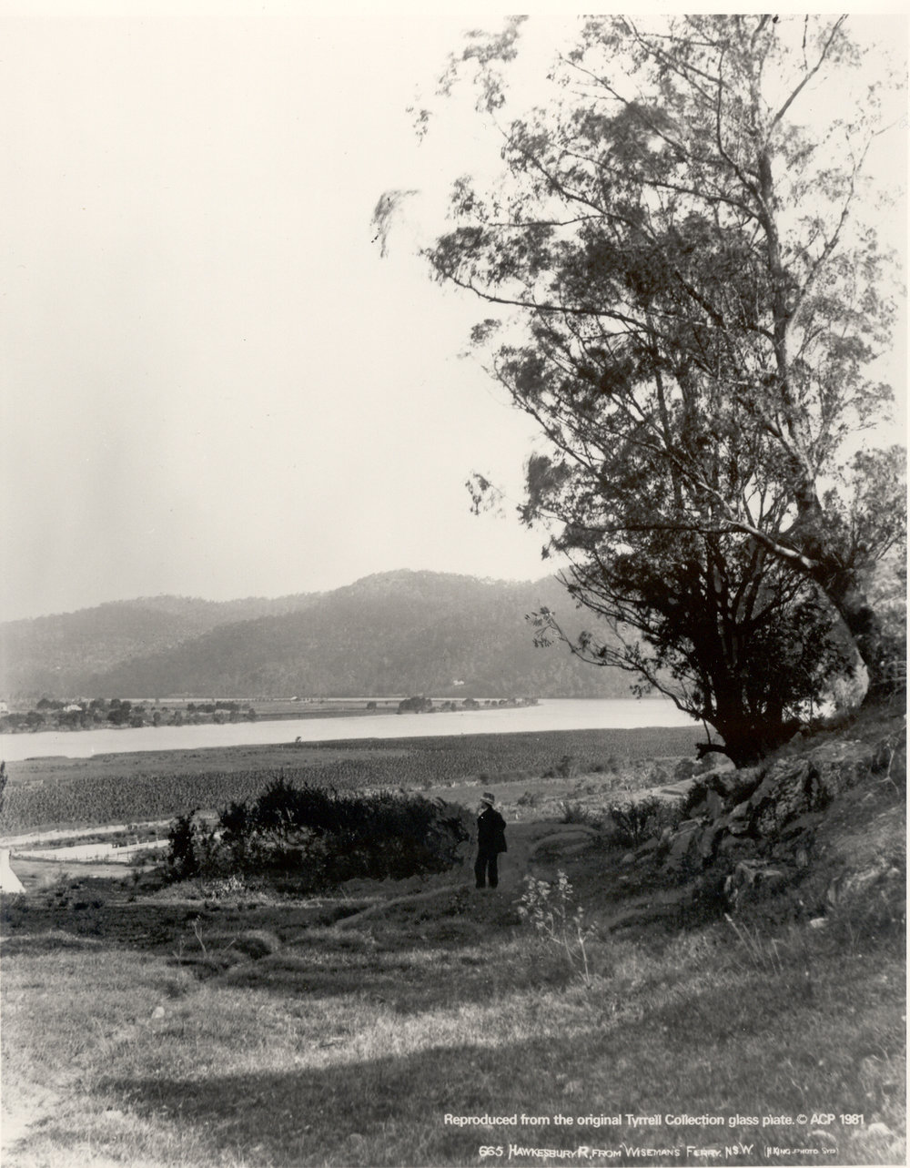 Hawkesbury River from Wisemans Ferry