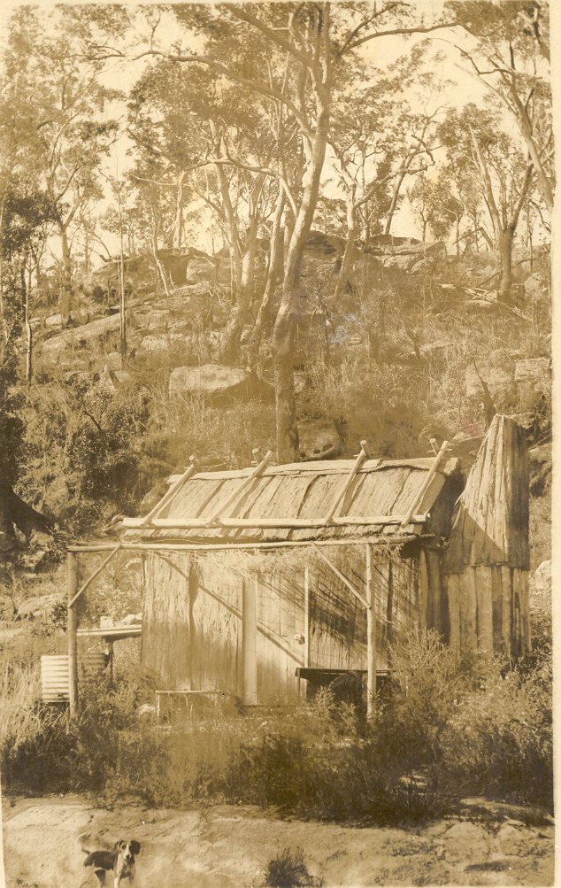 Mt Wilga slab hut, c. 1910