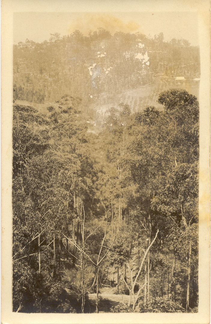 Old Mans Valley c.1920s