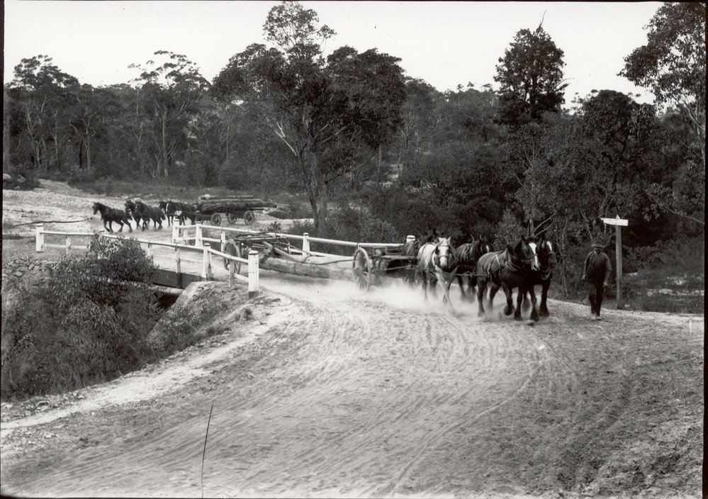 Old Beecroft Road at Devlins Creek Crossing, Cheltenham, c.1910