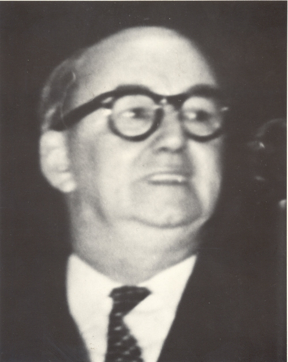Harold George Headen, Councillor