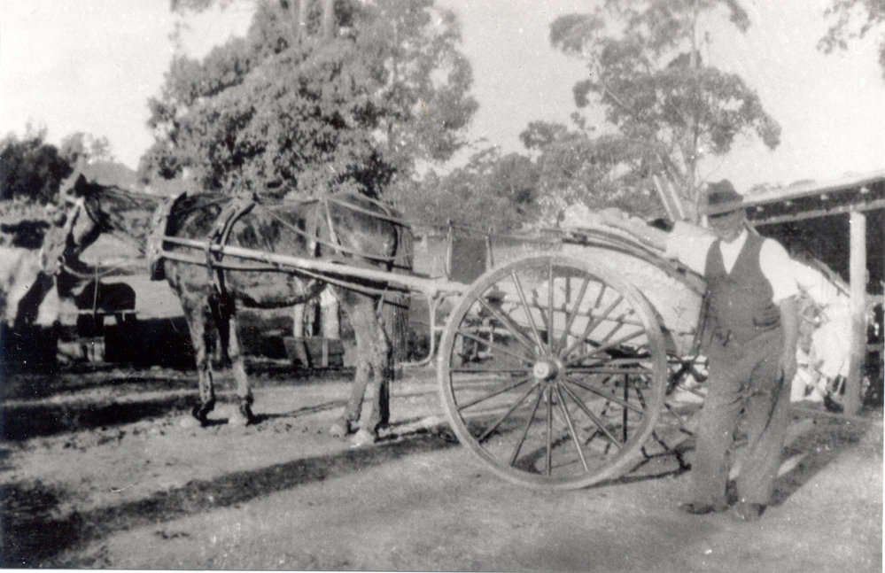 Allan James with his horse and cart at his dairy farm in Waitara