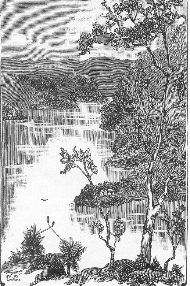 Collingridge Point (woodcut)