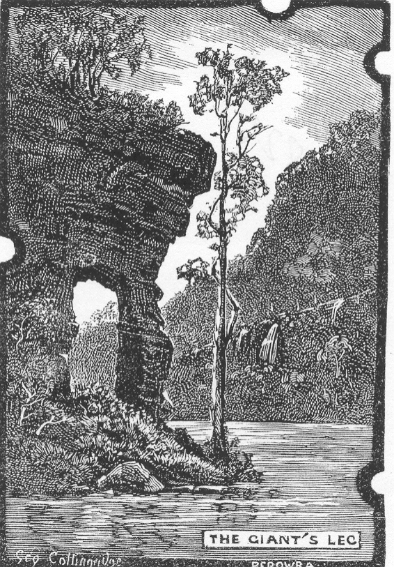 The Giant's Leg, Berowra Creek (woodcut)