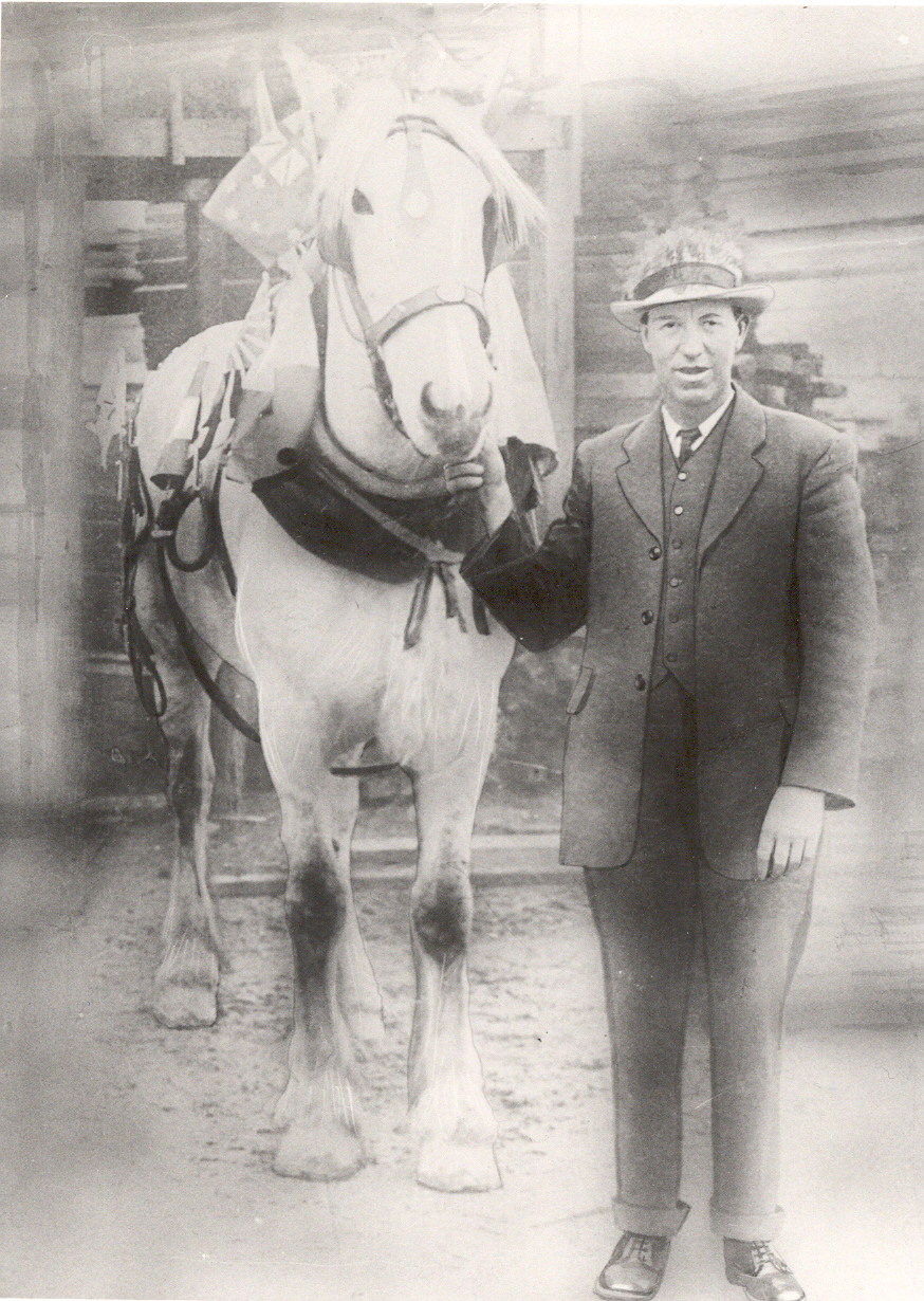 H D Smith with horse owned by P A James, timber merchant