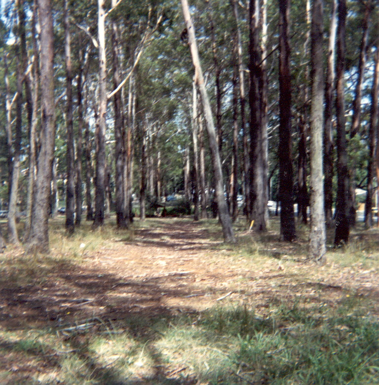 Old alignment of Pennant Hills Road, Observatory Park, Pennant Hills