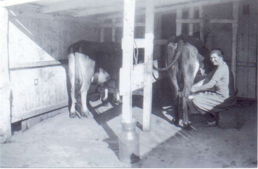 Dairy in Denison Street, Hornsby, late 1920s
