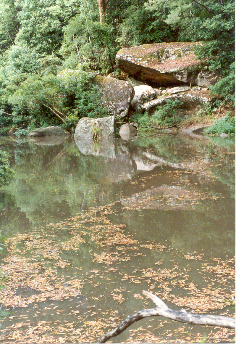 The Fishponds waterhole