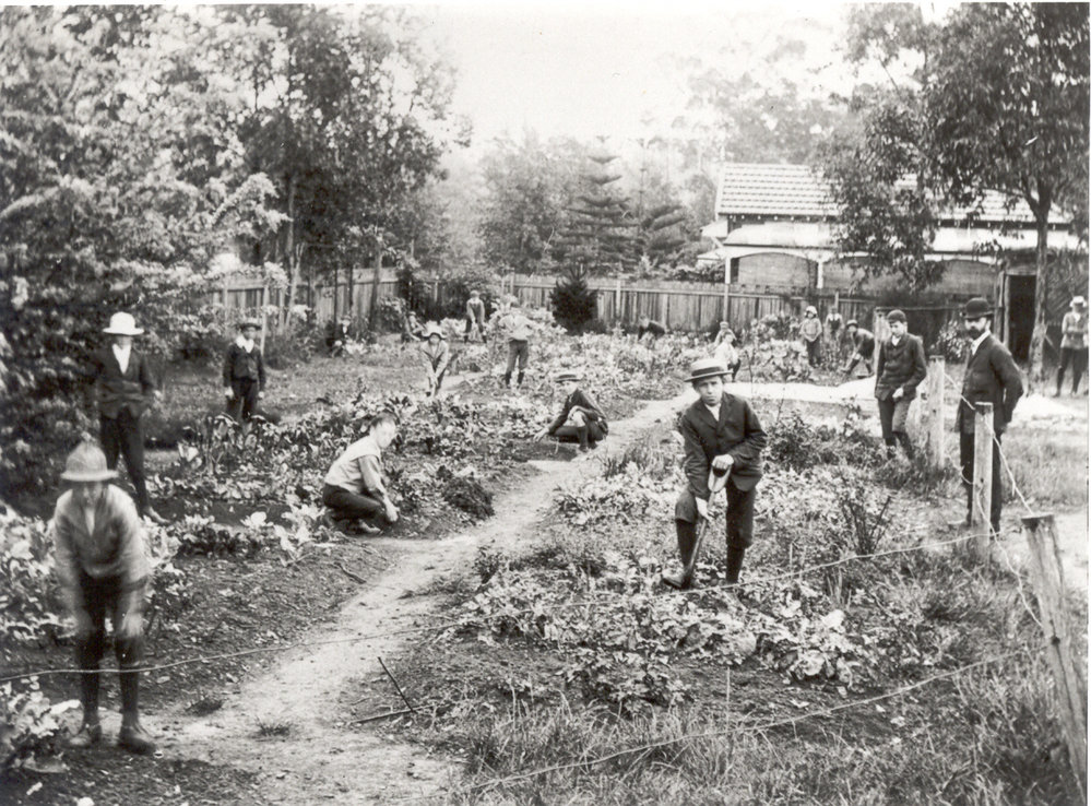 Beecroft Public School Garden