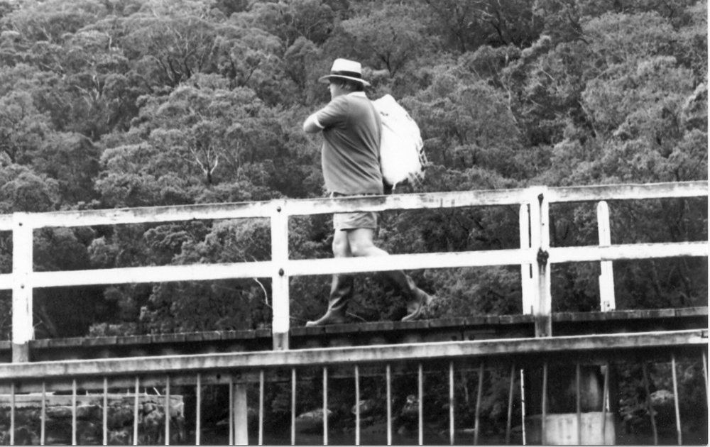 Galston Gorge Bridge, showing original walkway