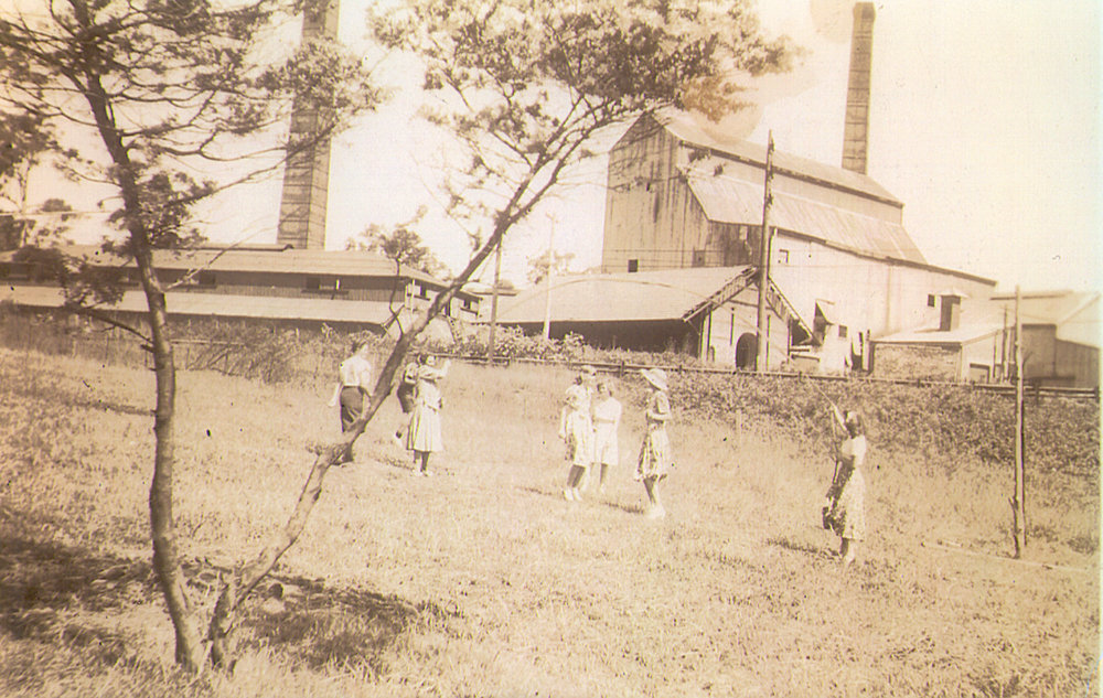 View of Thornleigh Brickworks from children's playground, c.1950