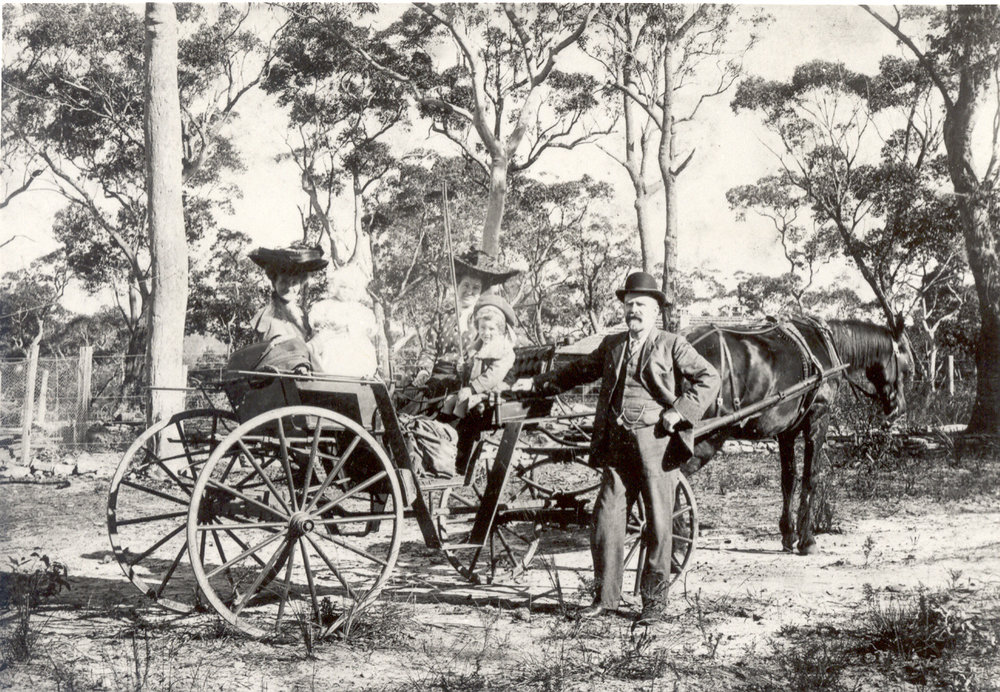 Oxley family in buggy at Hornsby, c. 1905