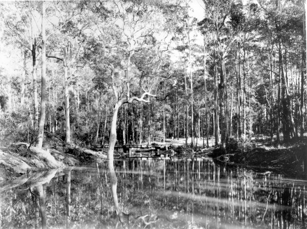 Devlins Creek, Epping, c. 1920