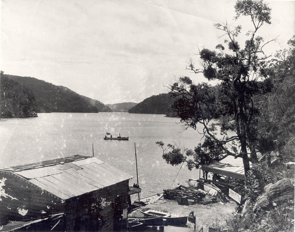The Windybanks' house, Cowan Creek
