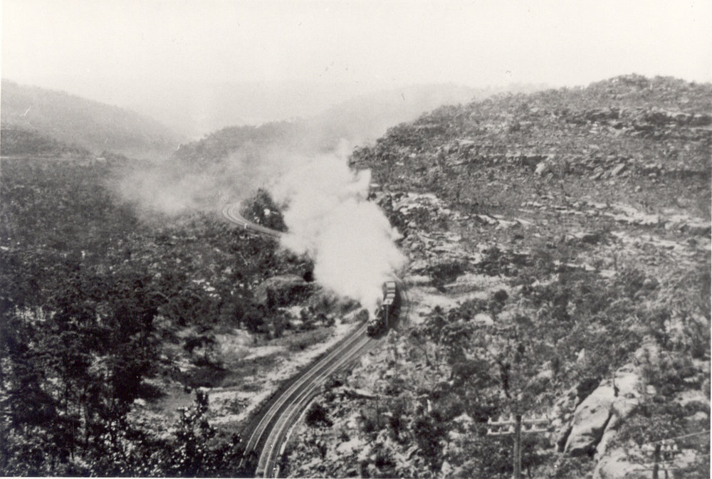 Steam train in the region of Berowra
