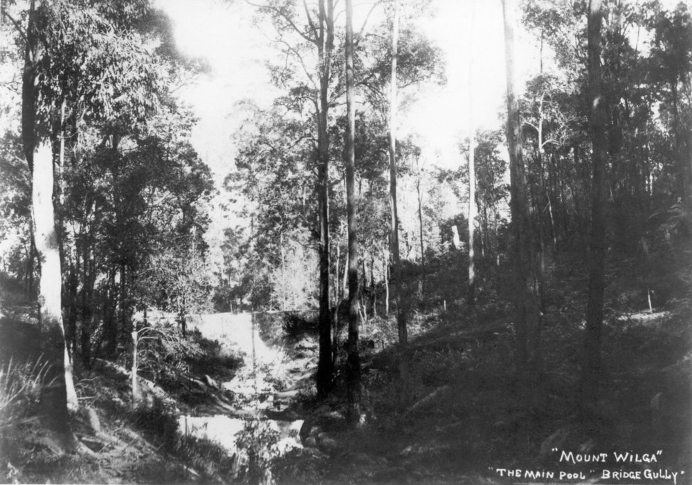 "The Main Pool, Bridge Gully, Mount Wilga", c. 1908