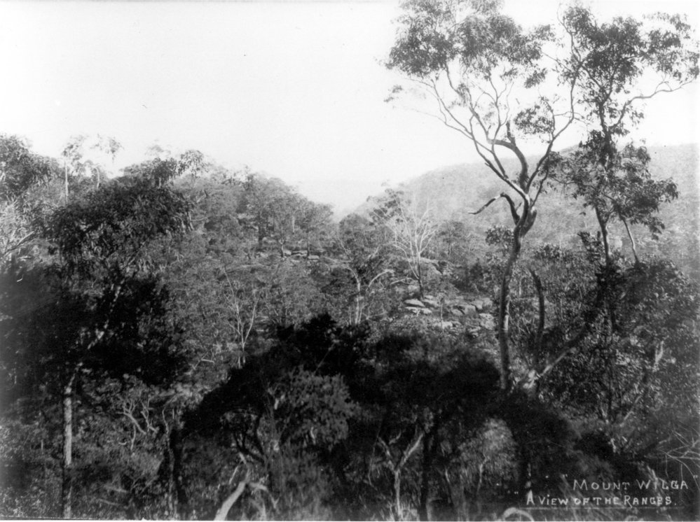 A view of the ranges from Mount Wilga, c. 1908