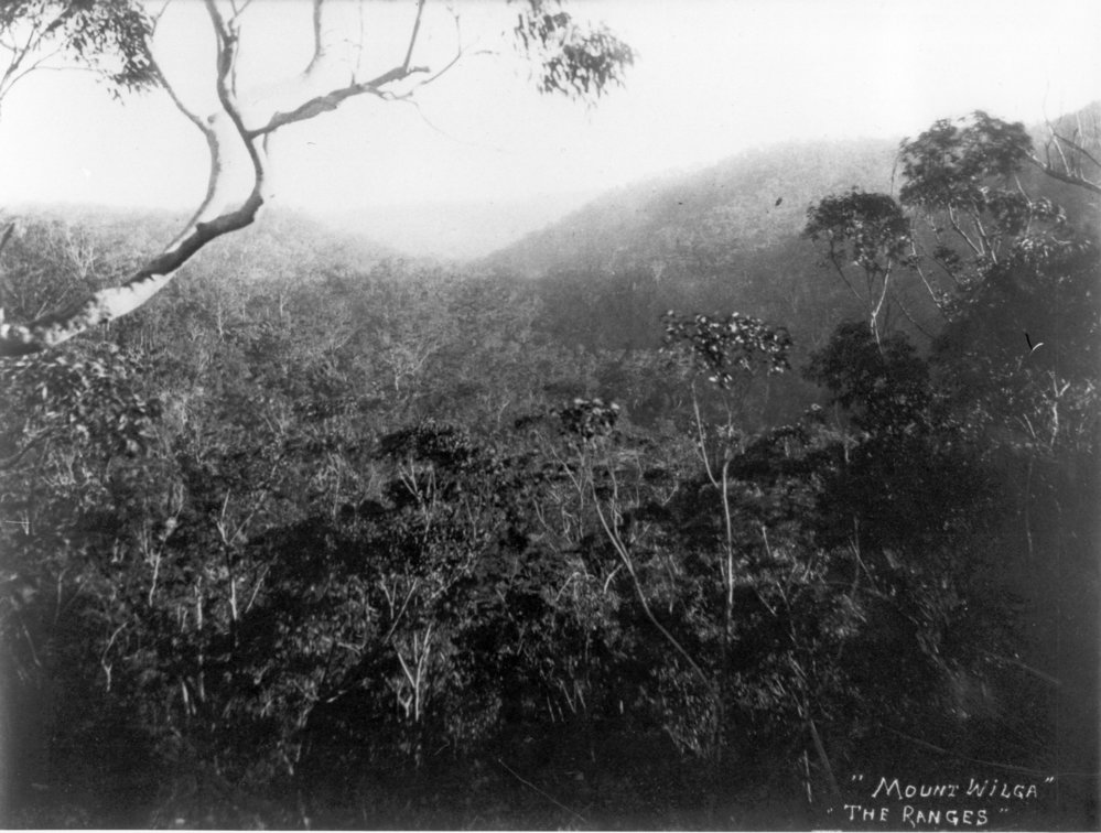 The ranges behind Mt. Wilga, c. 1908