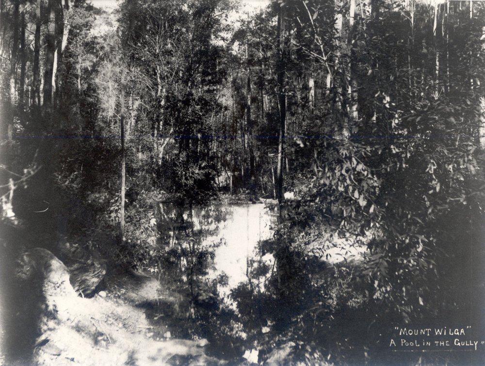 A pool in the gully near Mt Wilga, c. 1908