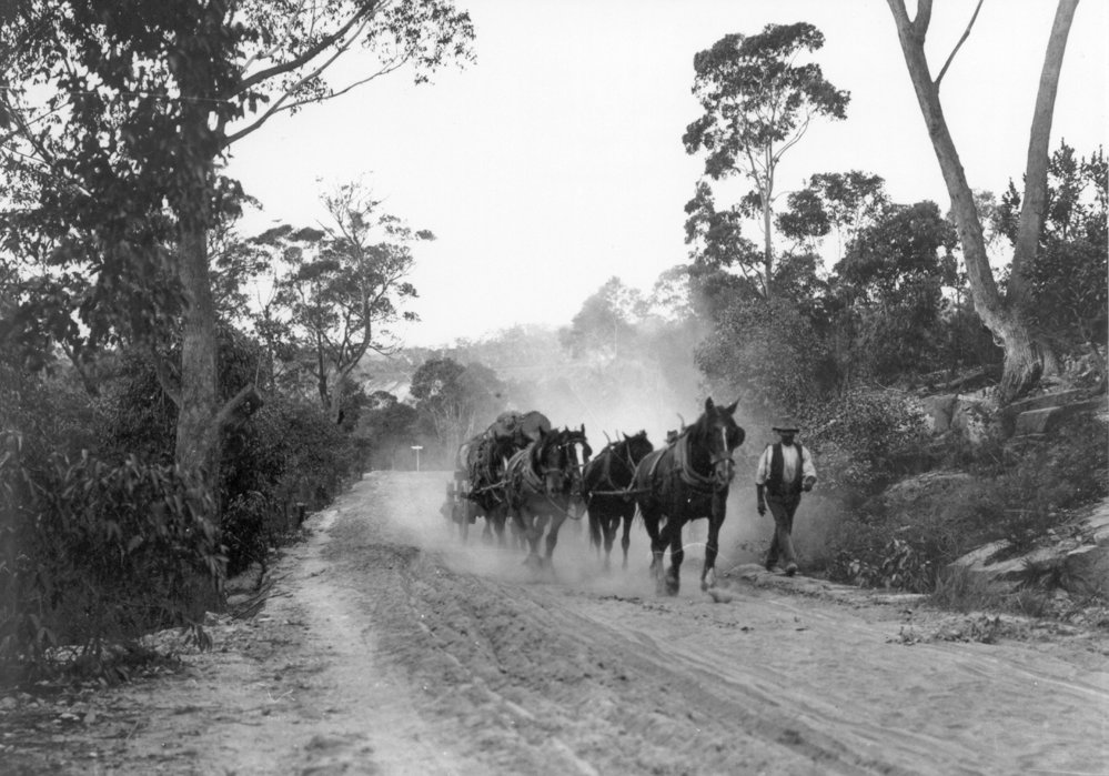 Horses hauling timber on Beecroft Road, Epping, c. 1900