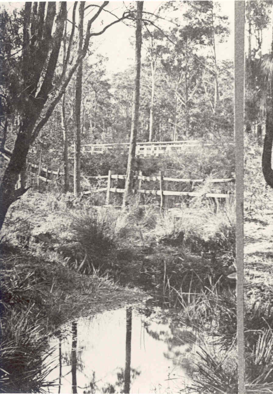 Creek scene, Epping, c. 1900