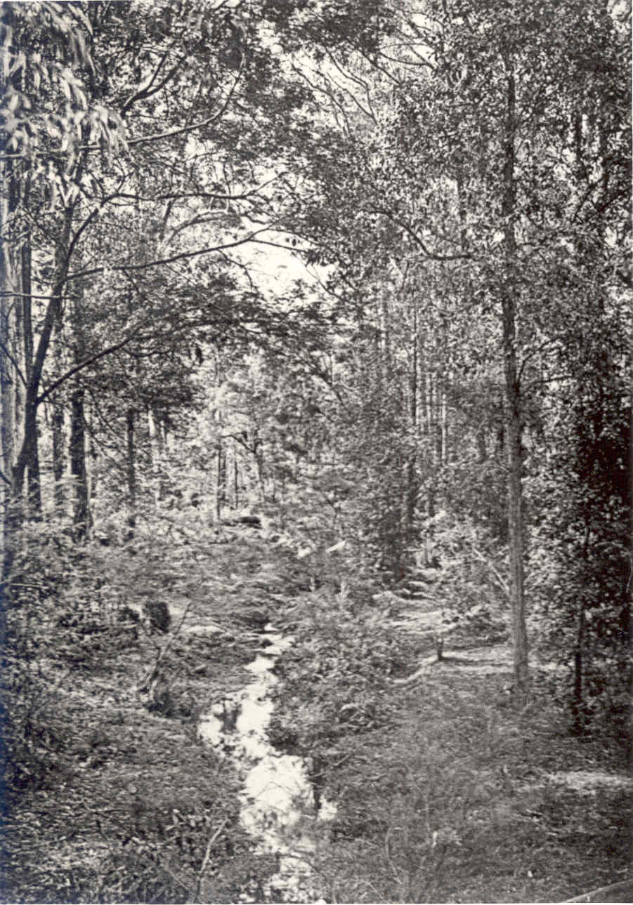 Creek scene near Ray Road, Epping, c. 1900