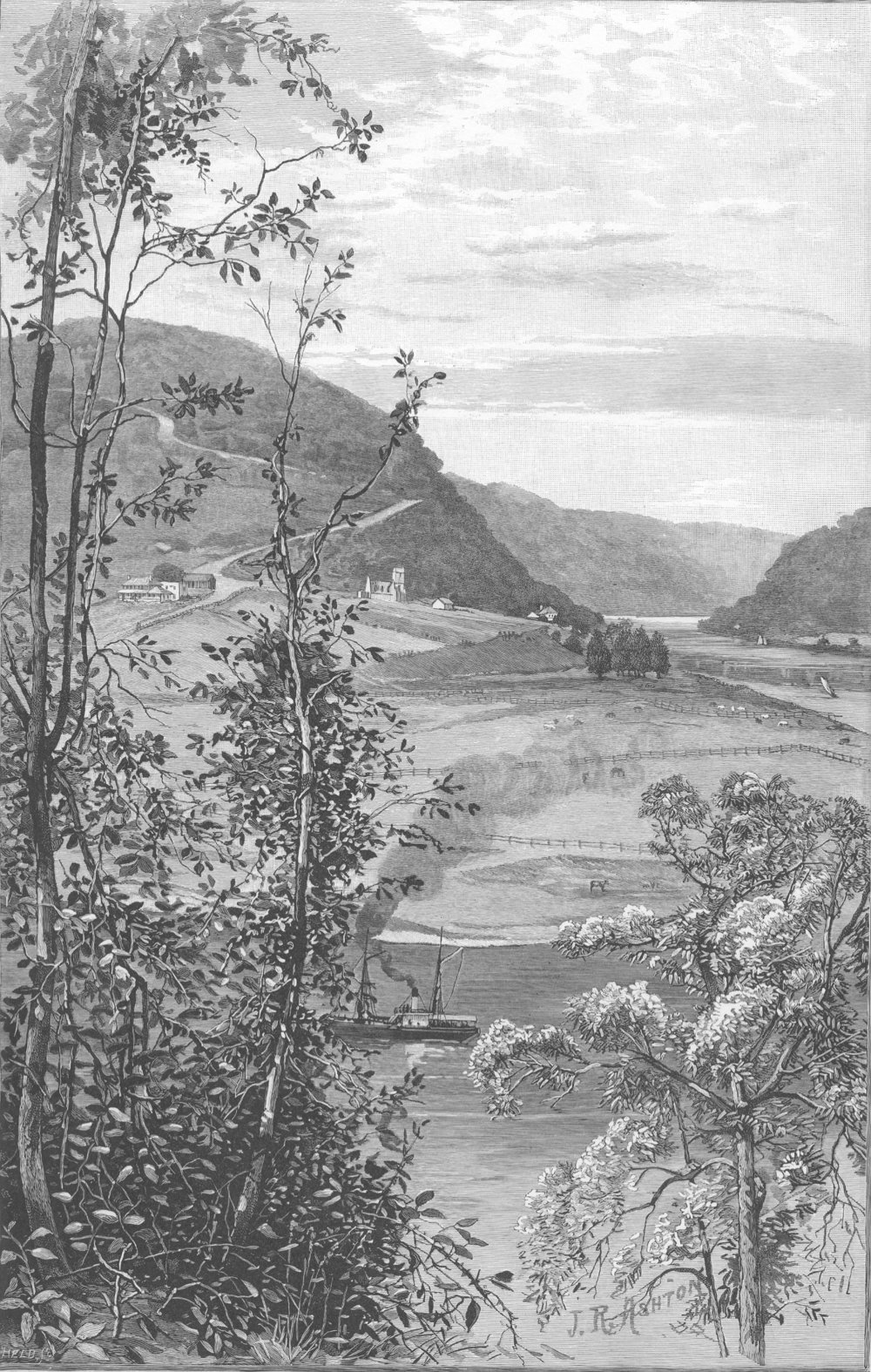 The Hawkesbury, at Wisemans Ferry (woodcut)