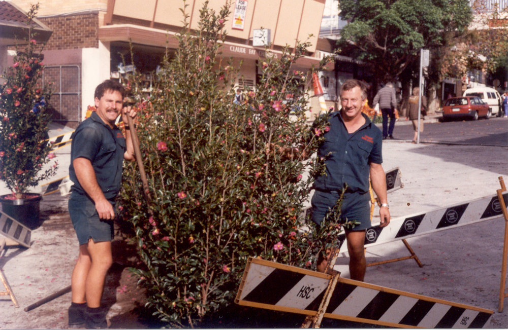 Plants in Florence Street Mall, Hornsby