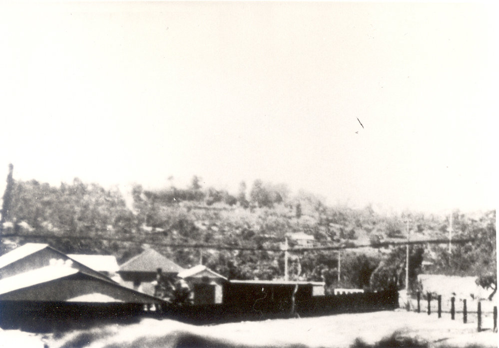Warren's Dairy, 139 Burdett Street, Wahroonga
