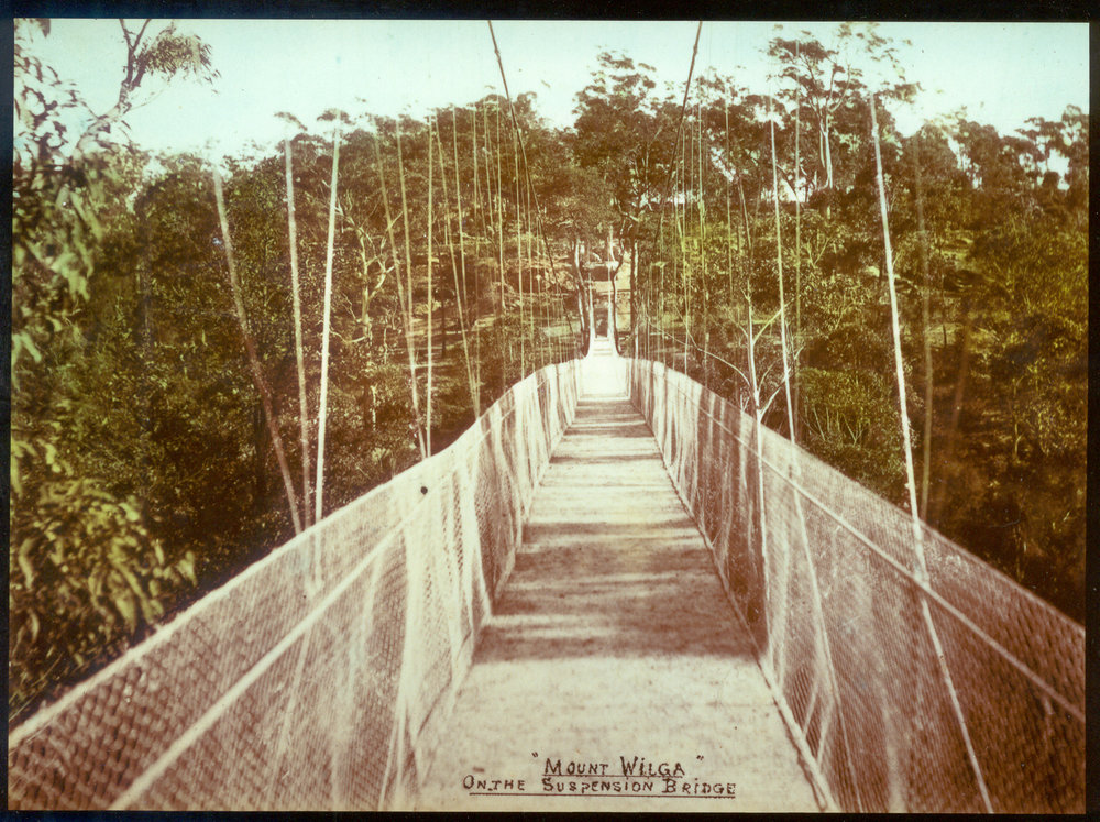 On the Mt Wilga Suspension Bridge