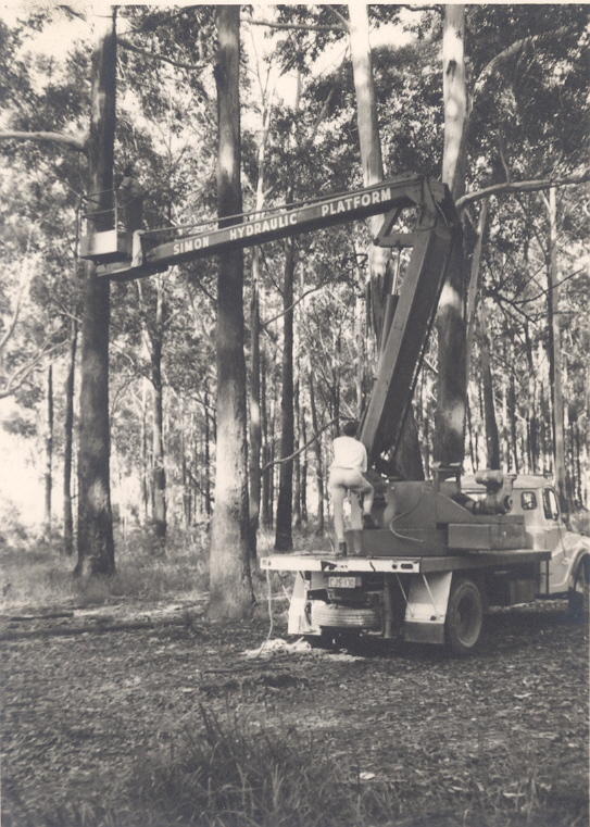 Council's first cherry-picker in Observatory Park