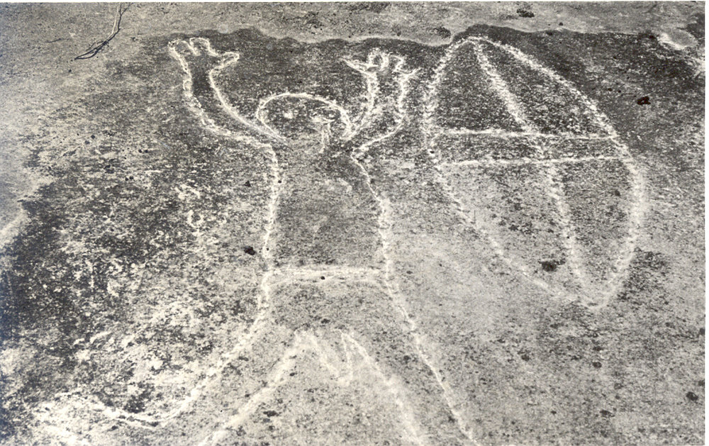 Aboriginal rock carvings