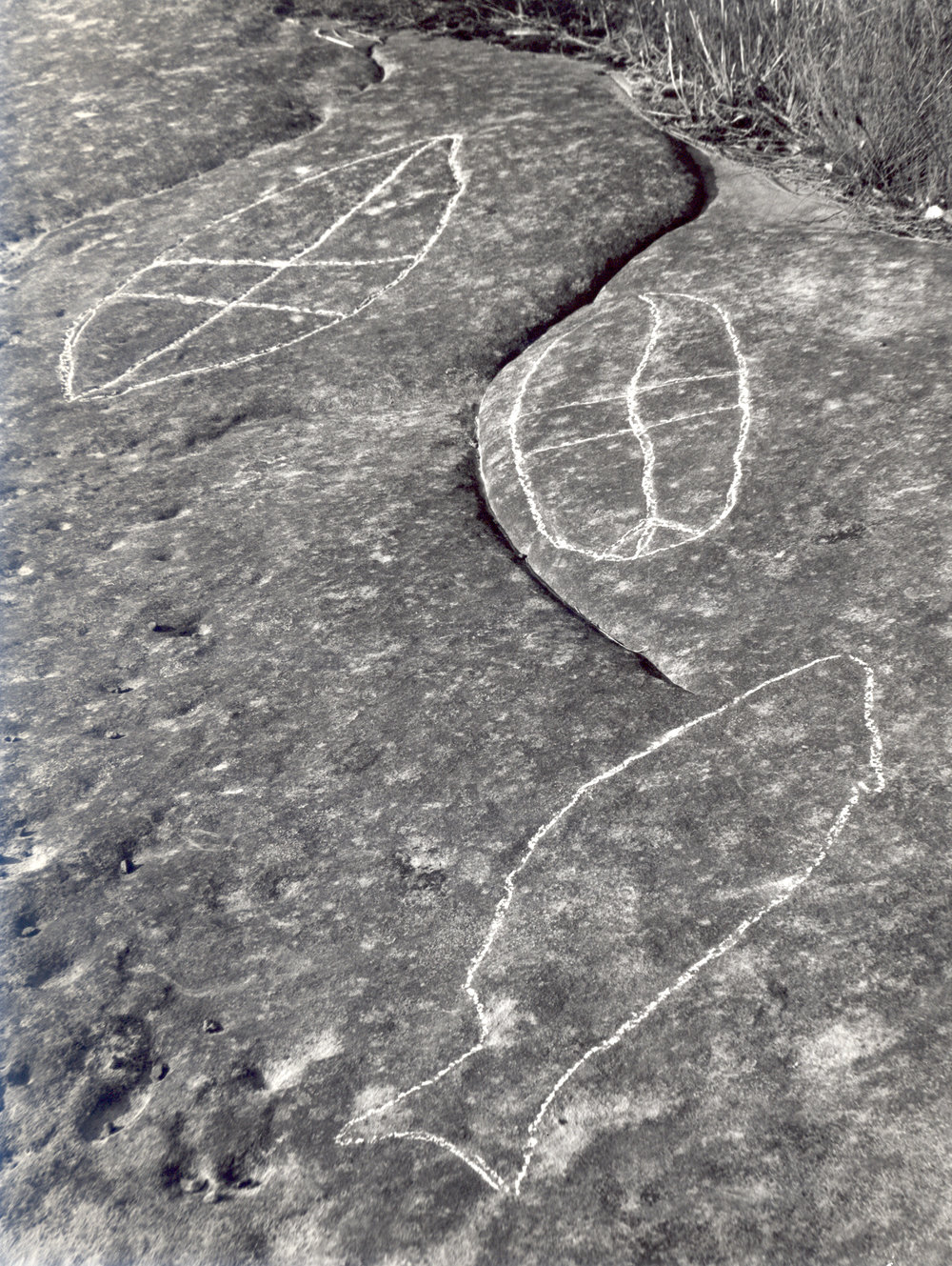Aboriginal rock carving