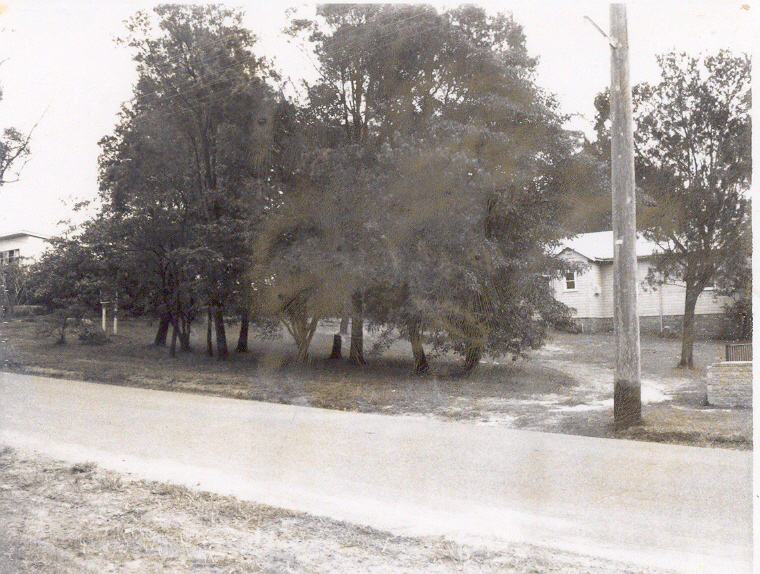Site of Mount Kuring-gai Community Centre