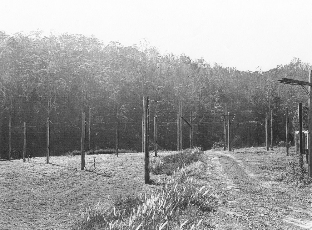 Radio astronomy field station, Hornsby, c. 1950