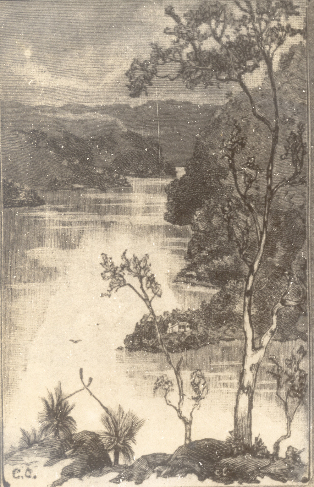 Collingridge Point [woodcut]