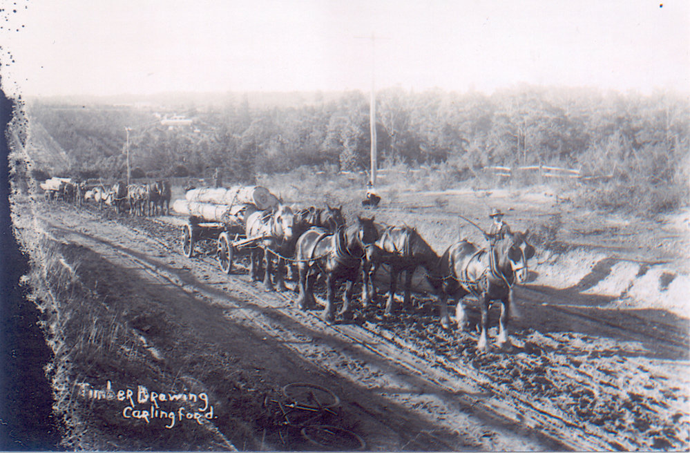 Timber drawing, Carlingford