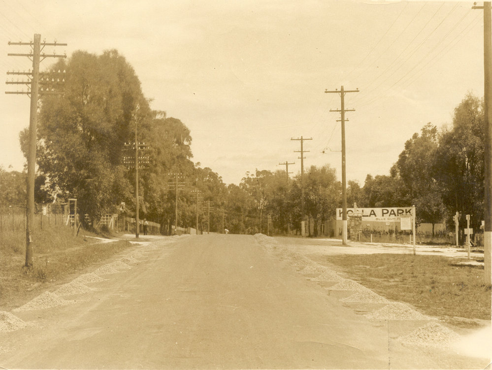 Koala Park, Castle Hill Road, West Pennant Hills