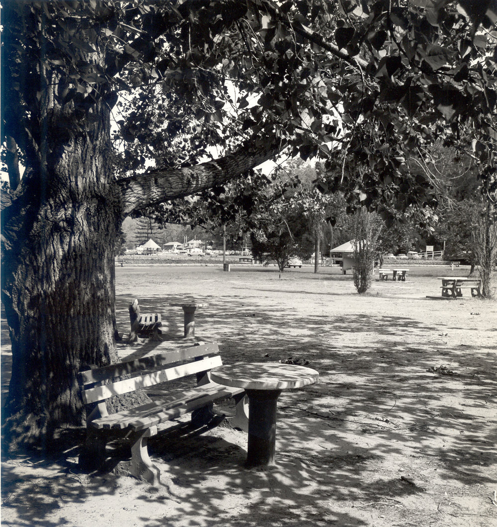 Park at Bobbin Head, c. 1970