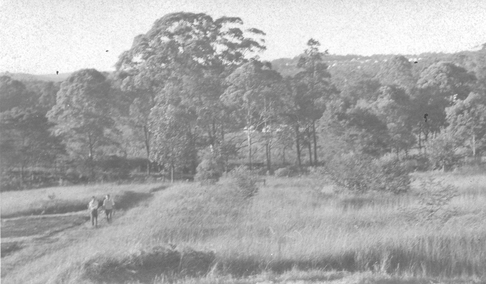 Presbyterian Fellowship Union property, Thornleigh.