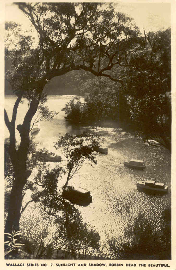 Boats at Bobbin Head [postcard]
