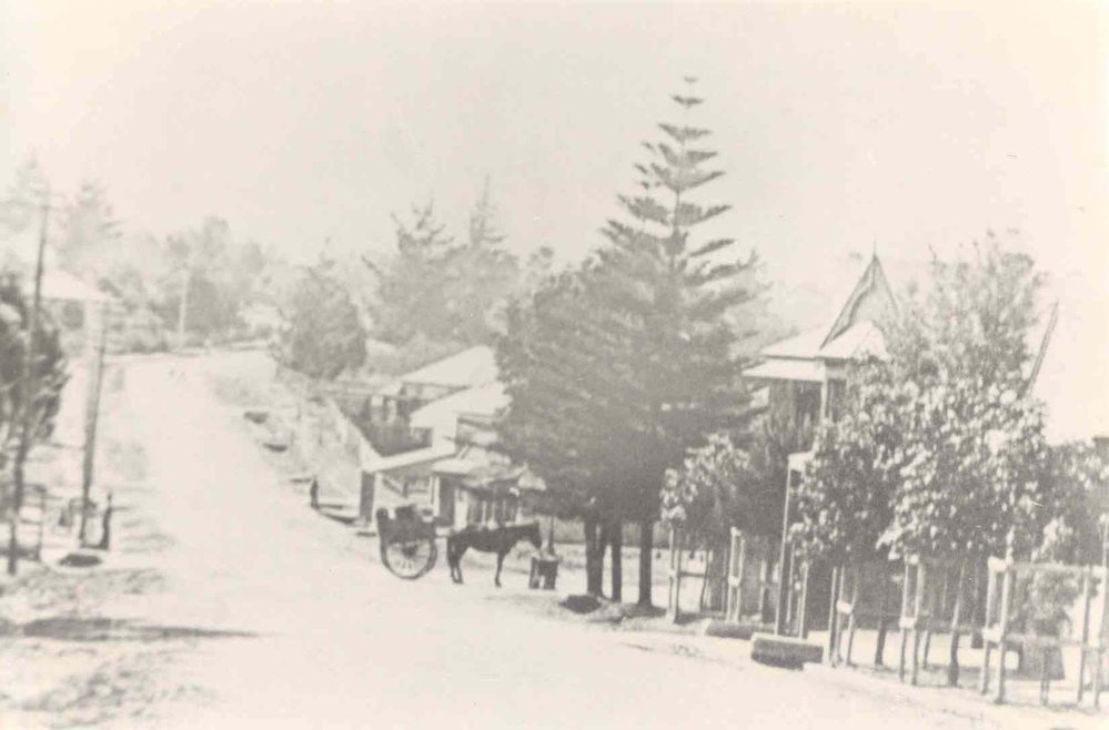 Pennant Hills Road, Thornleigh, c. 1900