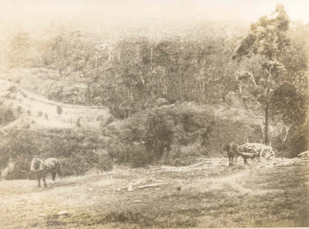 Fox Valley, Wahroonga