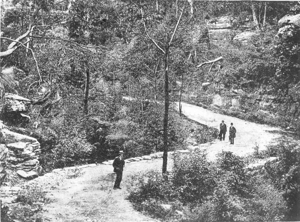 Fox Valley Road, Wahroonga