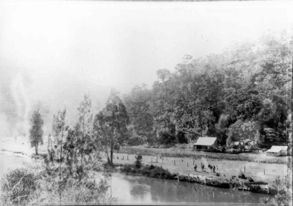 Crosslands Reserve 1894
