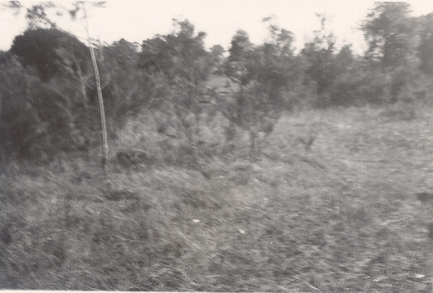 251 Pacific Highway, Hornsby