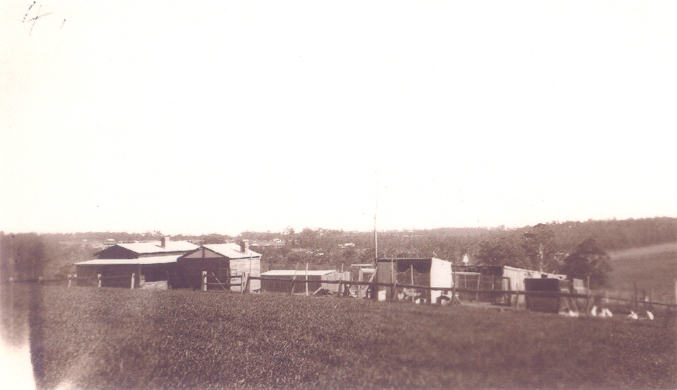 View from "Eaton Farm", West Pennant Hills