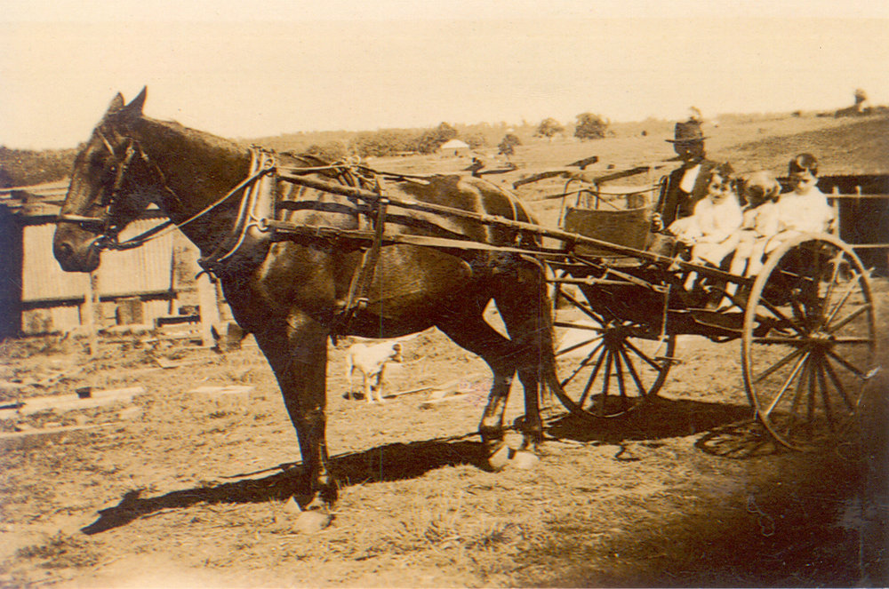 Gray family on Eaton Road, West Pennant Hills