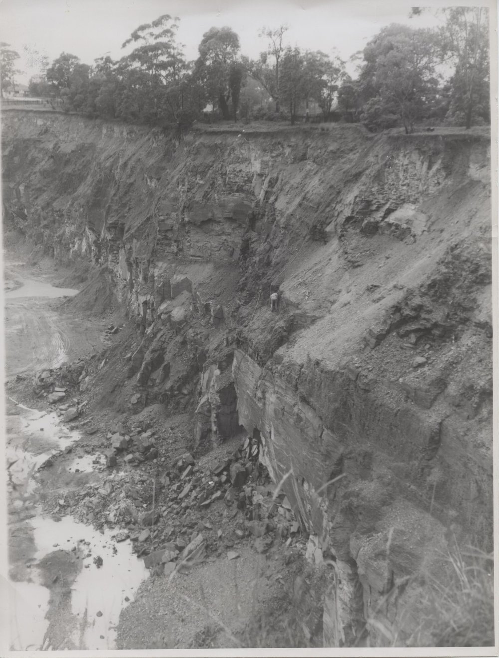  View from the south east corner of the Thornleigh Brick-pit