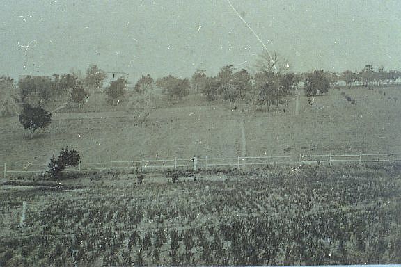 View of West Pennant Hills